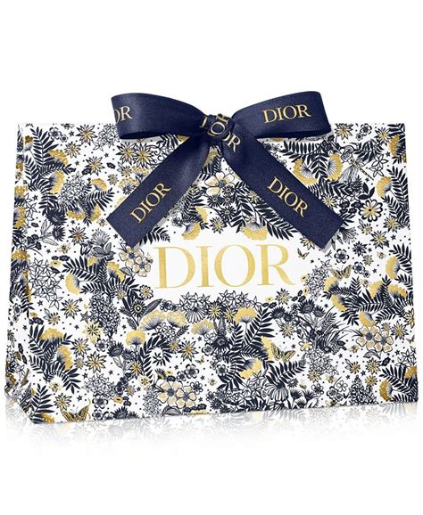 dior christmas bag.